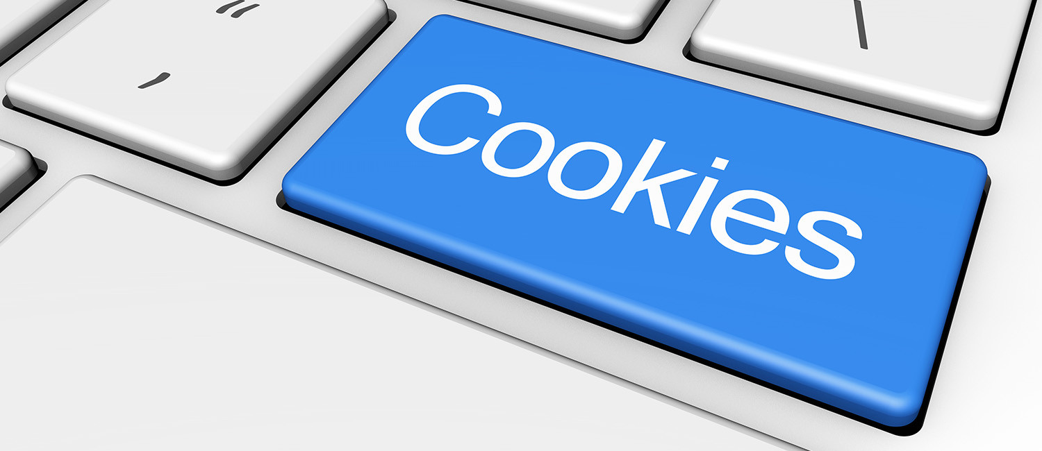 Website Cookie Policy For Vagabond Inn Executive